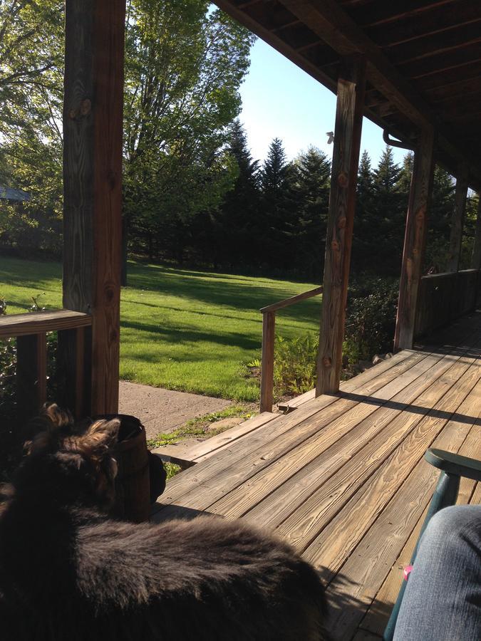 Bed and Breakfast The South Glenora Tree Farm Dundee Экстерьер фото