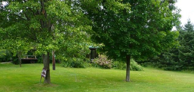 Bed and Breakfast The South Glenora Tree Farm Dundee Экстерьер фото