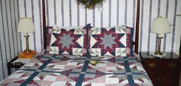 Bed and Breakfast The South Glenora Tree Farm Dundee Экстерьер фото